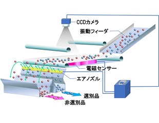 カラーラインカメラ式色彩選別機